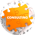 Consulting Services We Provide