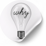 Why Hanifay for Export?